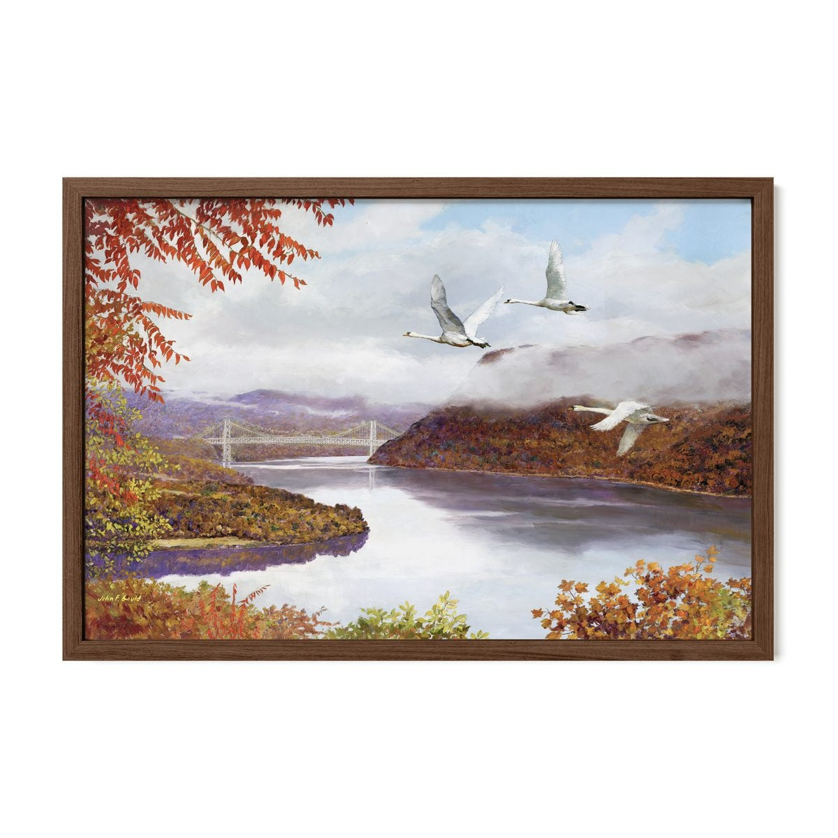 Mute Swans Over Bear Mountain Bridge