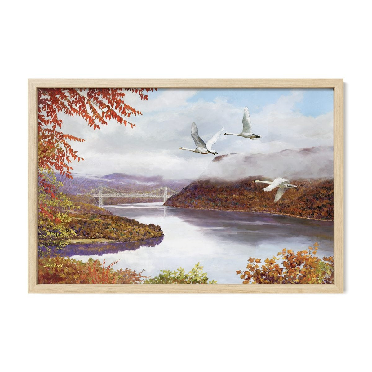 Mute Swans Over Bear Mountain Bridge
