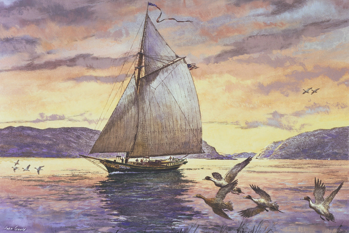 Hudson River Sloop