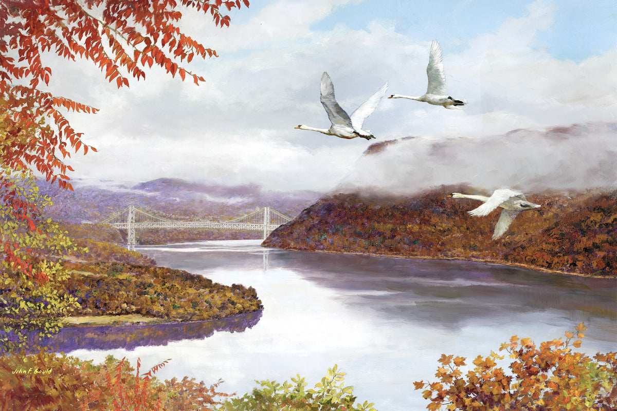 Mute Swans Over Bear Mountain Bridge