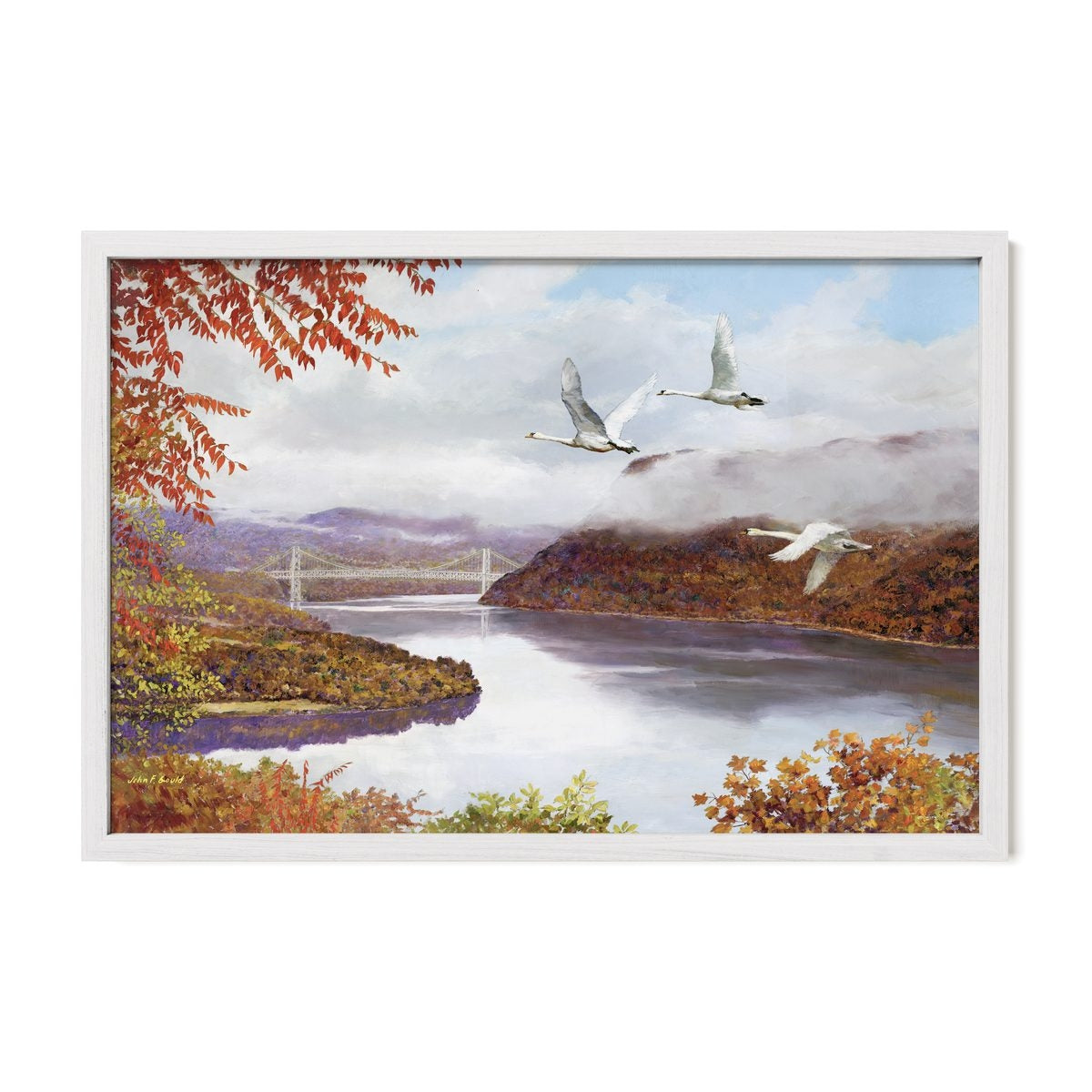 Mute Swans Over Bear Mountain Bridge